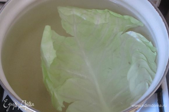 Кочан капусты разобрать на листья. Отварить в кипящей подсоленной воде 5-10 минут.