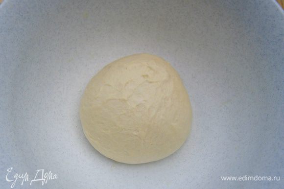 Скатать тесто в шар, выложить в смазанную маслом посуду, накрыть пленкой и поставить подходить на 1 час.