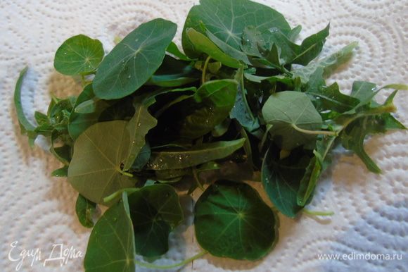 Зелень салата и листья настурции вымыть и обсушить на бумажном полотенце.