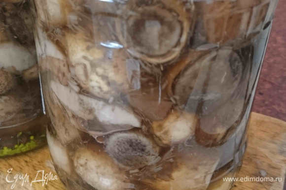 Укладываем плотно грибы. Процеживаем рассол и заливаем им грибы до верха. Остаток рассола не выливайте, он может понадобиться в самом конце.