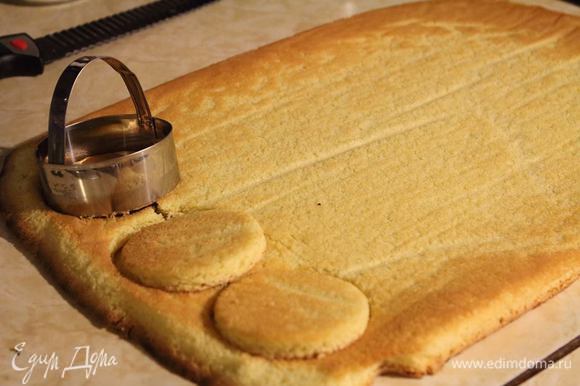 Вырежем бисквиты нужного диаметра для основы десерта.