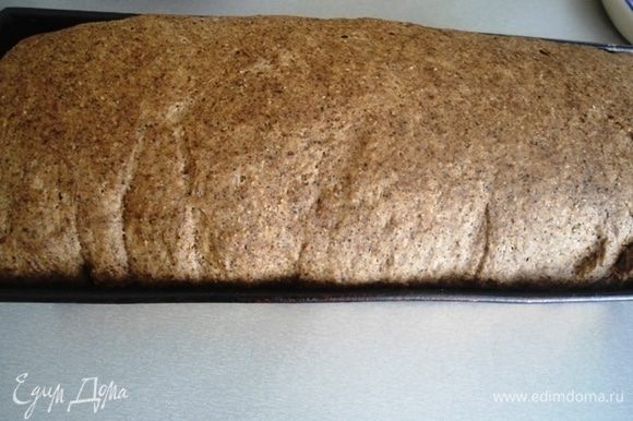 Вот так выглядит буханка на этом этапе, перед тем как будет выпекаться. Если вы хотите настоящий бородинский хлеб, сейчас самое время смазать водой и посыпать зернами кориандра. Выпекать хлеб 30 минут при 190°С, потом убавить до 160°С и печь еще 25 минут.