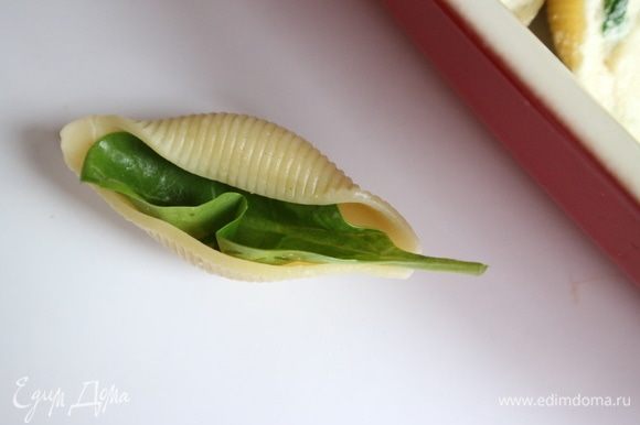 В каждую ракушку поместить целый листочек шпината со стебельком таким образом, как показано на фотографии.