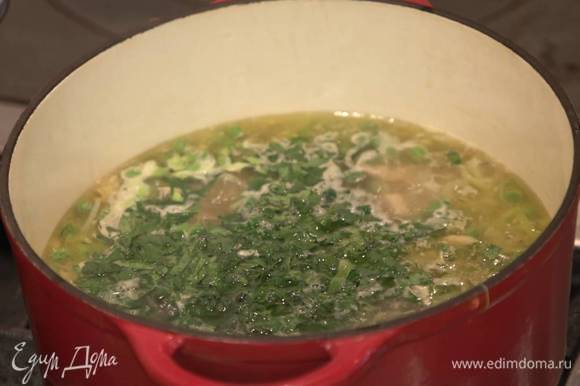 В готовый суп добавить зелень и сок лимона.