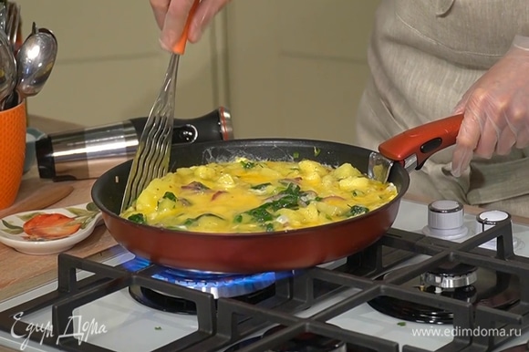 Яйца разбить, посолить, поперчить и взбить венчиком, затем влить в сковороду с овощами и жарить несколько минут. Когда яичница начнет схватываться по бокам, переставить сковороду в разогретую духовку и запекать 5–7 минут.