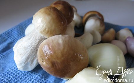 Рецепт "Porcino" - осенний суп из белых грибов