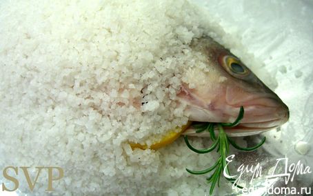 Рецепт Запеченная в соли рыба