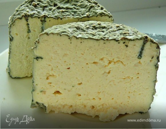 Как сделать сыр с белой плесенью дома