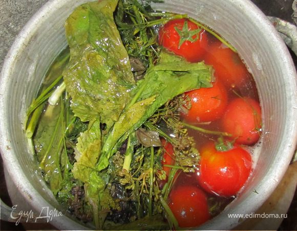Маринованные помидоры в бочке - рецепт с пошаговыми фото