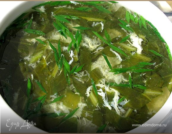 Пошаговый рецепт приготовления классического зеленого борща
