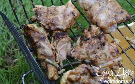 Рецепт Мясо на костре/шашлык (для пикника) в аэрогриле