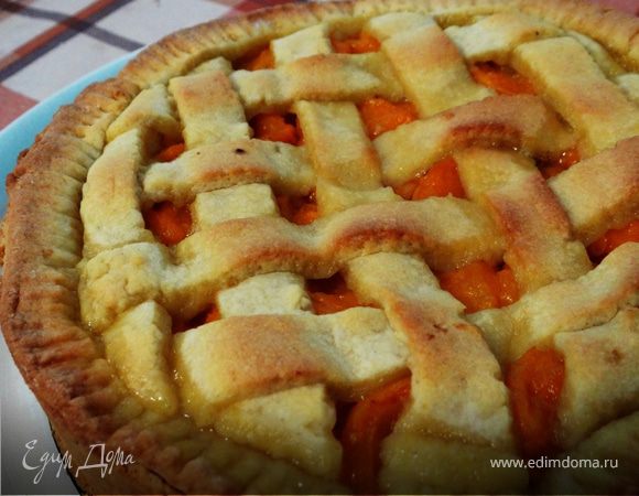 Песочный абрикосовый пирог с яично-сметанной заливкой – пошаговый рецепт приготовления с фото