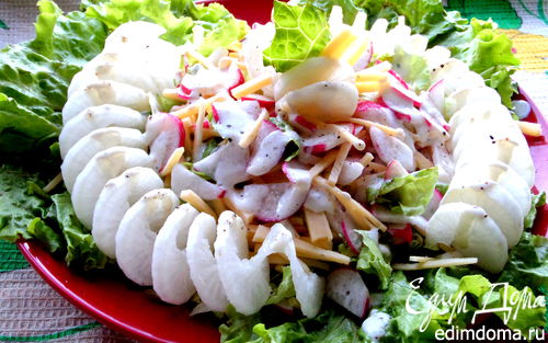 Рецепт Салат "Два редиса"