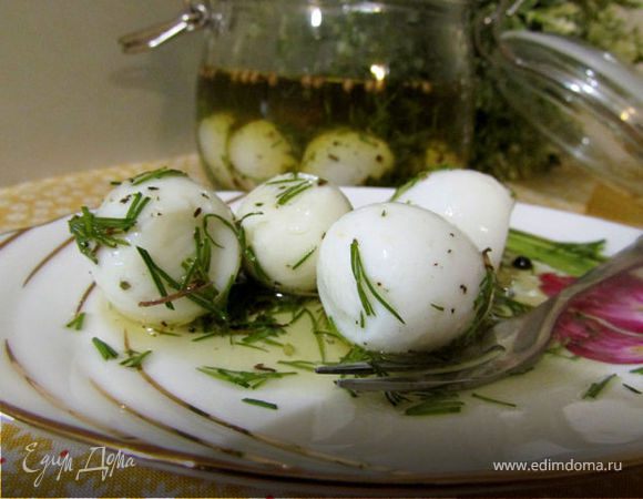 Маринованные перепелиные яйца рецепт – Французская кухня: Закуски. «Еда»