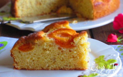 Рецепт Пирог с фундуком и абрикосами