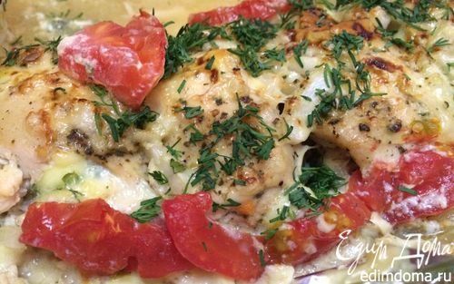 Рецепт Куриные рулетики с брынзой и зеленью