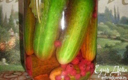 Рецепт Солёные огурчики с красной смородиной