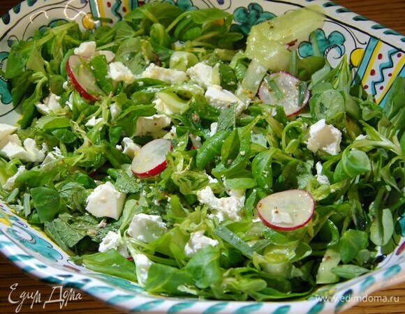 Весенний салат из редиски, пошаговый рецепт с фото на ккал