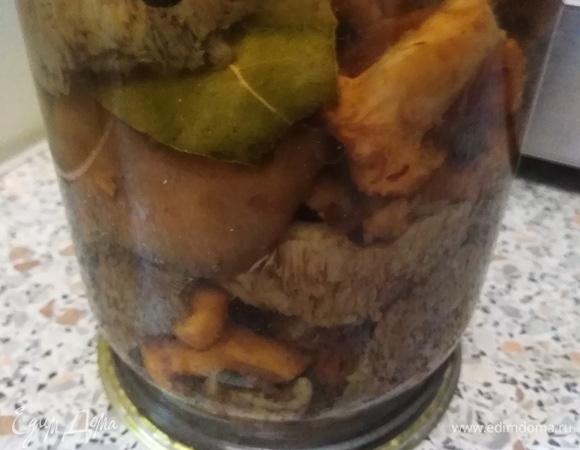 Лесные жареные грибы с луком – пошаговый рецепт приготовления с фото